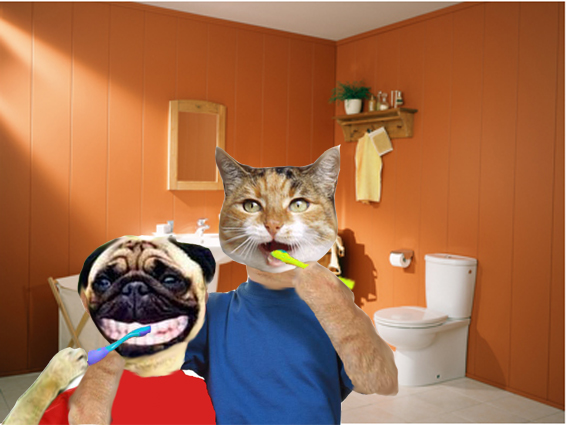 Diseño de Photoshop por cheo010 para DesignCrowd (Community Contests) | Diseño #8957780