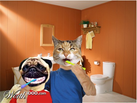 Photoshop Design by cheo010