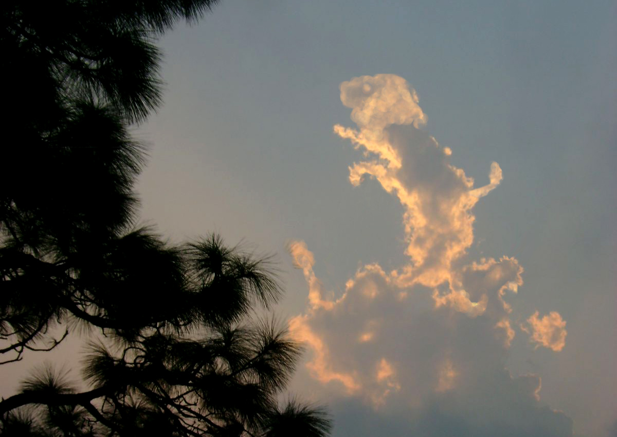 Photoshop Design by pragya for DesignCrowd (Community Contests) | Design #8958534