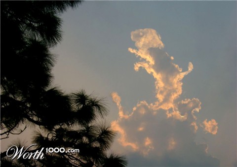 Photoshop Design by pragya