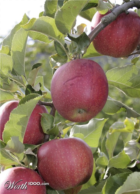 Photoshop Design by dekalicia