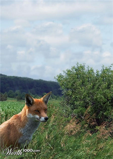 Photoshop Design by JANIELLE