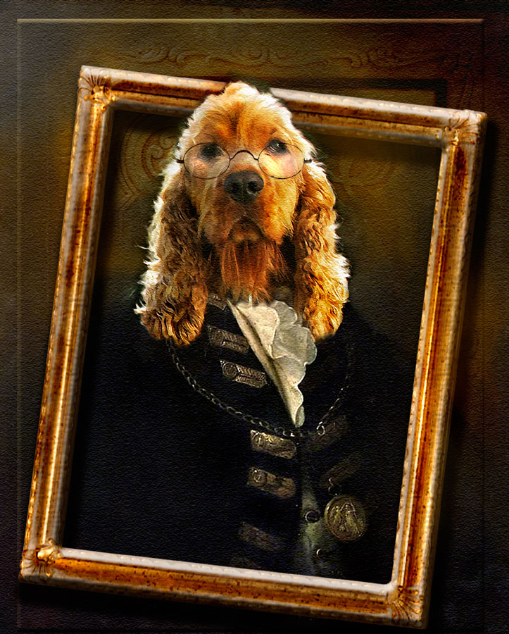 Diseño de Photoshop por Stella63 para DesignCrowd (Community Contests) | Diseño #8957794