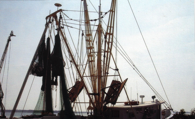 Photography by mindy3051 for DesignCrowd (Community Contests) | Design #8955596