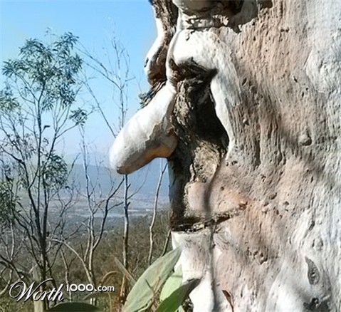 Photoshop Design by MrMohiuddin