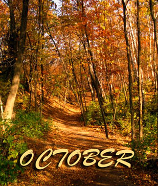 Photography by Chantal192 for DesignCrowd (Community Contests) | Design #8957421