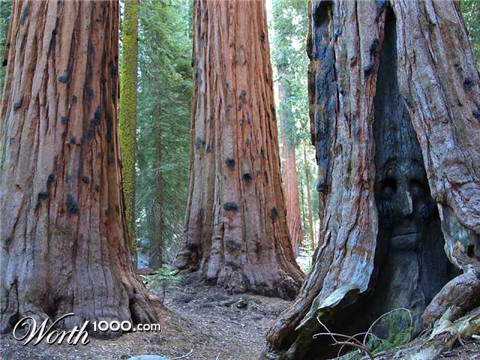 Photoshop Design by bkhikkin