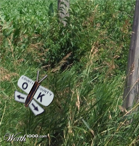 Photoshop Design by lazerblade