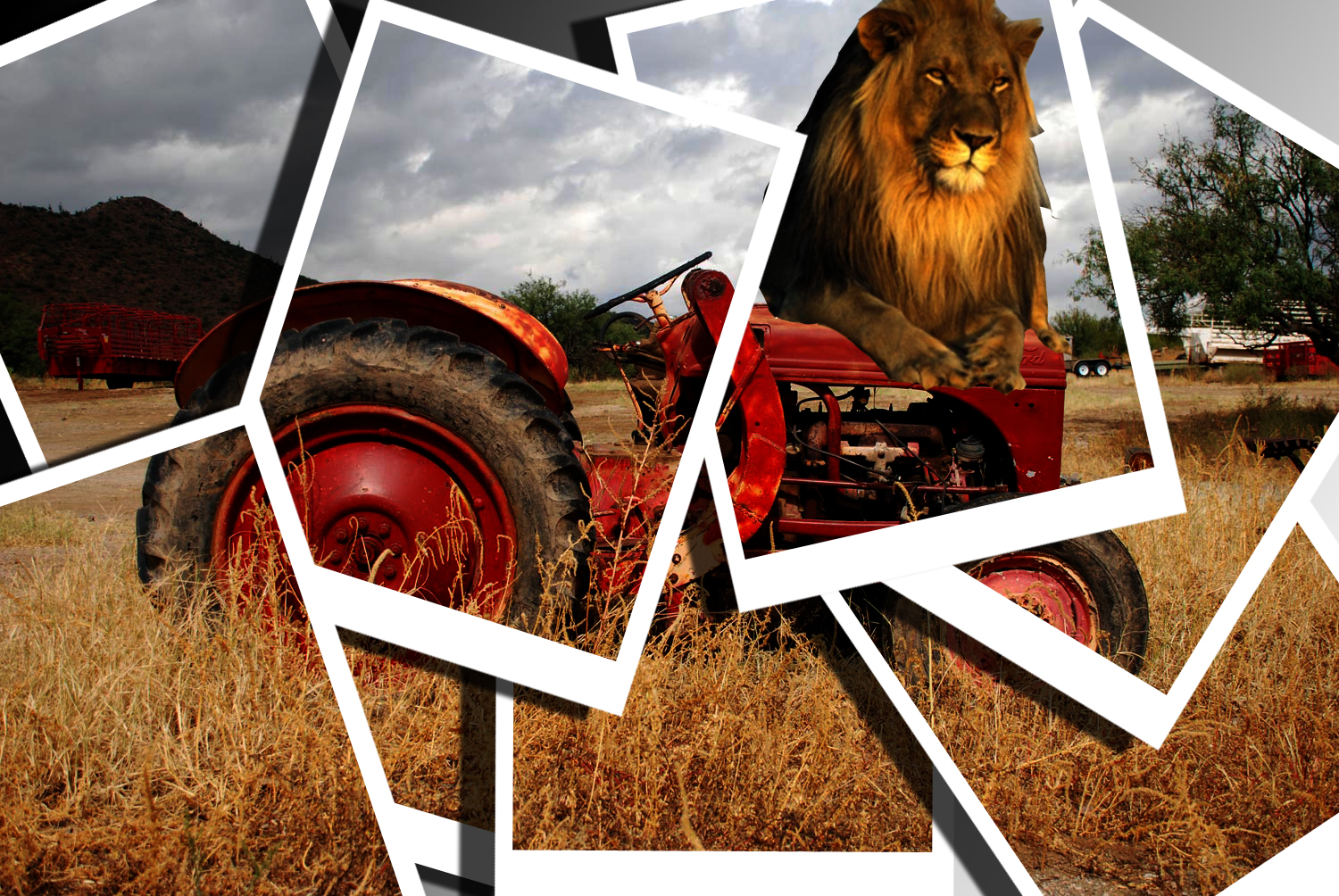 Photoshop Design by zero22 for DesignCrowd (Community Contests) | Design #8958175