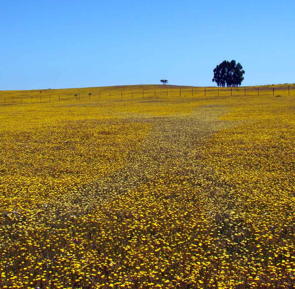 Photoshop Design by Dave0585 for DesignCrowd (Community Contests) | Design #8958680