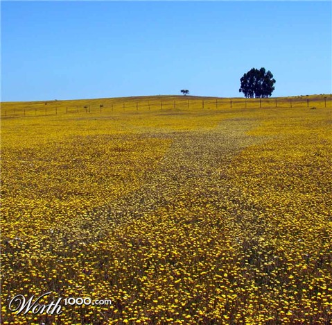 Photoshop Design by Dave0585