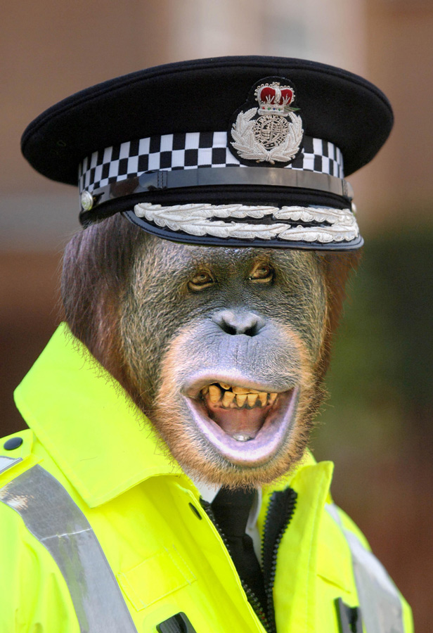 Photoshop Design by ama168 for DesignCrowd (Community Contests) | Design #8957744