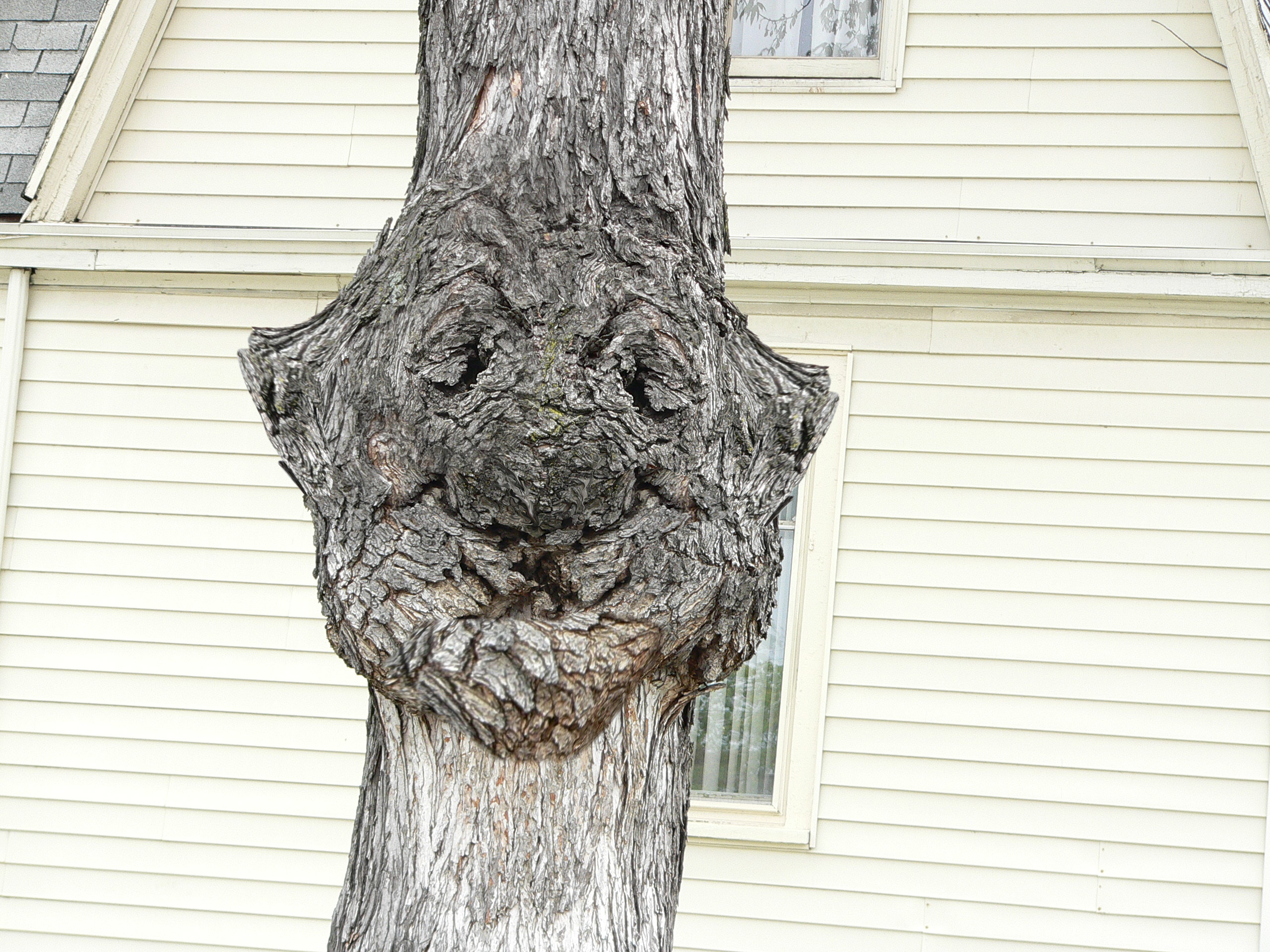 Diseño de Photoshop por mediagraphik para DesignCrowd (Community Contests) | Diseño #8958725