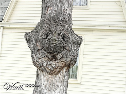 Photoshop Design by mediagraphik