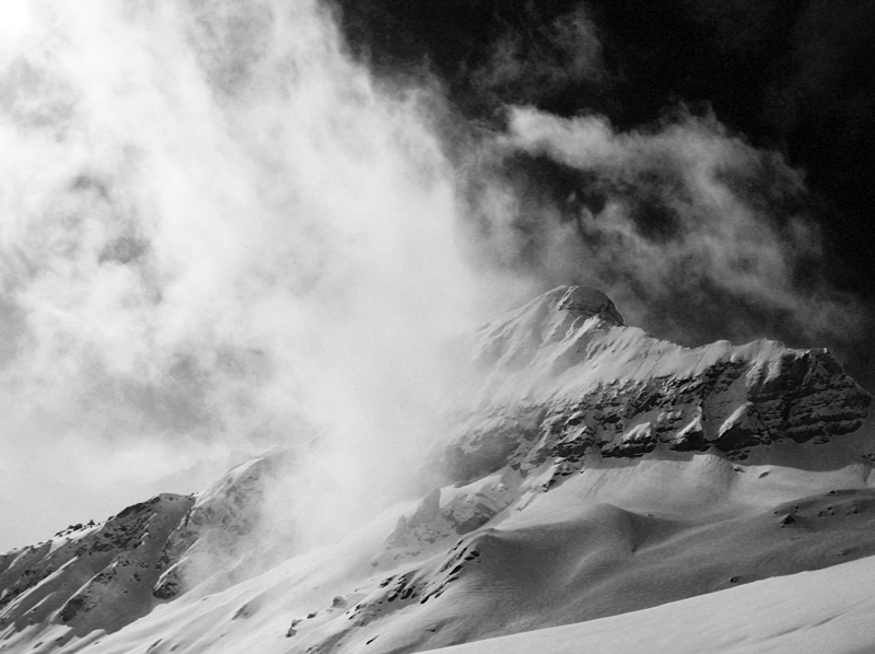 Photography by mangoslushy for DesignCrowd (Community Contests) | Design #8954733