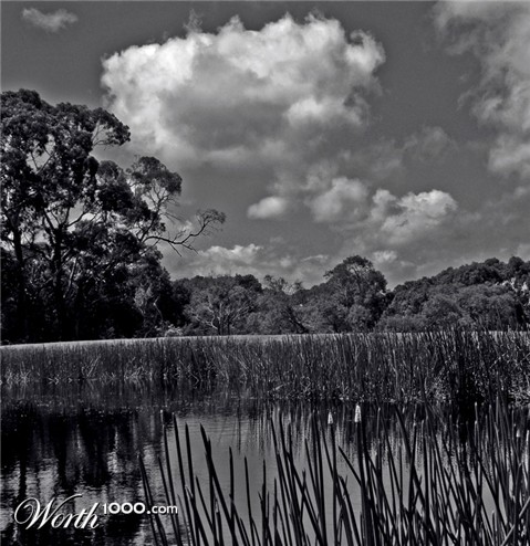 Photography by Funkiote