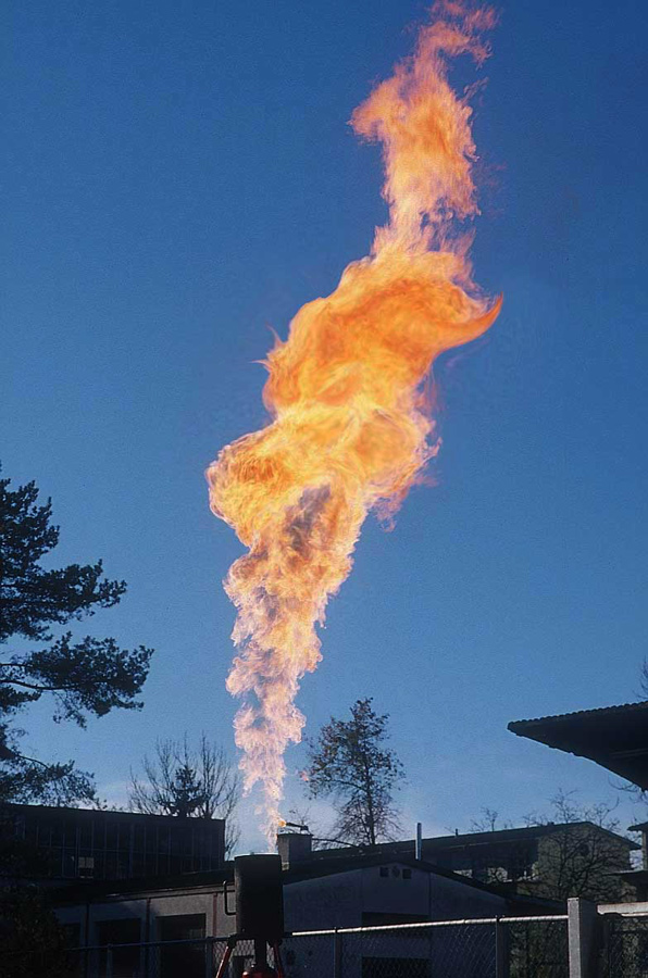 Photoshop Design by YearoftheDragon for DesignCrowd (Community Contests) | Design #8958702