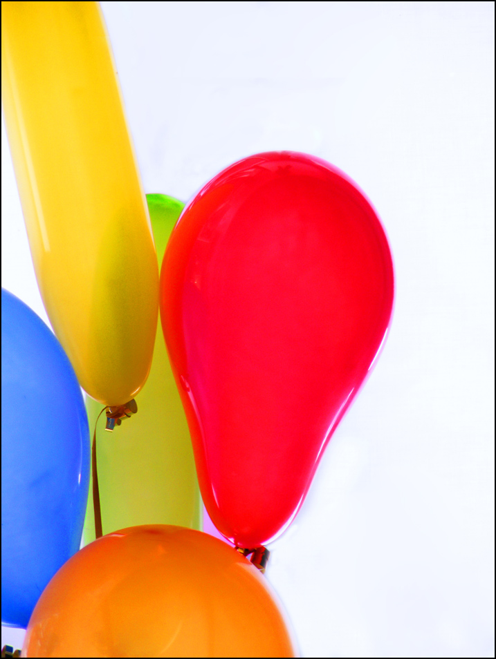 Photography by Woollysheep for DesignCrowd (Community Contests) | Design #8960048