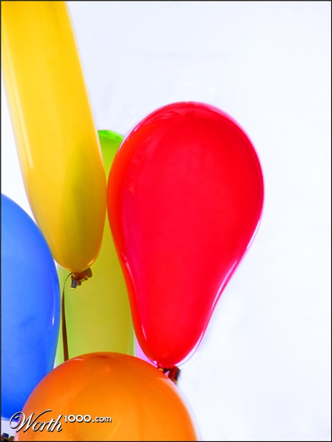 Photography by Woollysheep