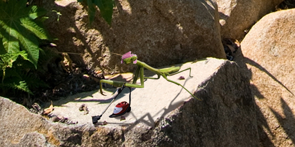 Diseño de Photoshop por caroldark para DesignCrowd (Community Contests) | Diseño #8957861