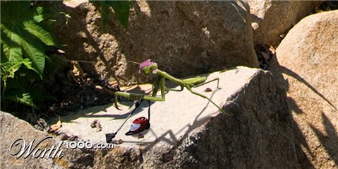 Photoshop Design by caroldark