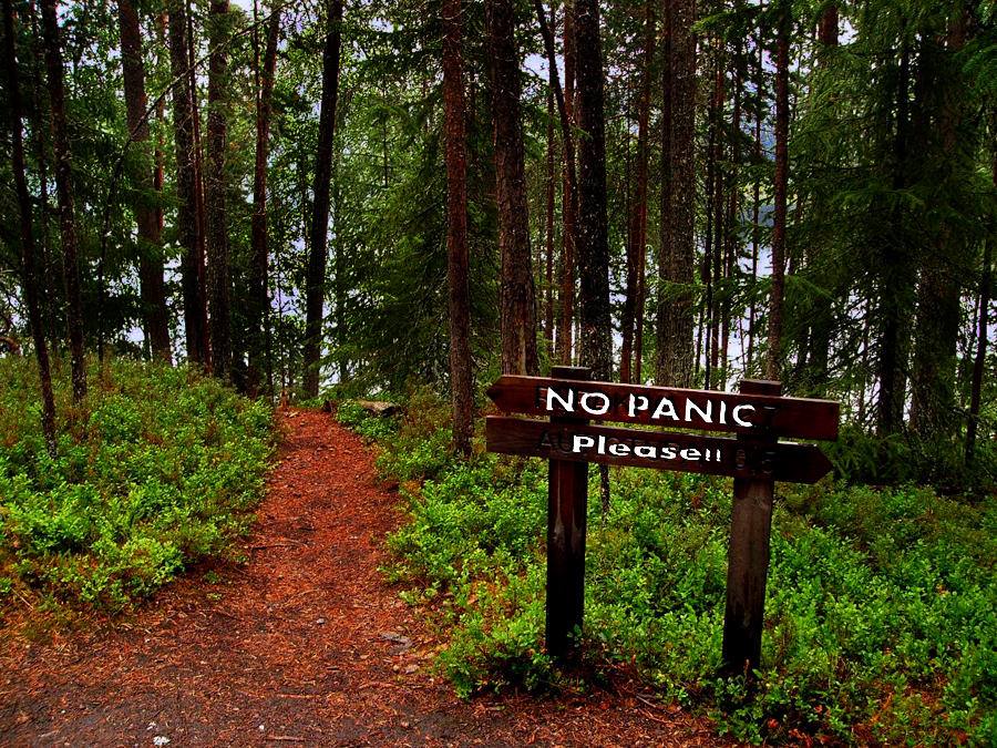 Photoshop Design by Galit109 for DesignCrowd (Community Contests) | Design #8959335