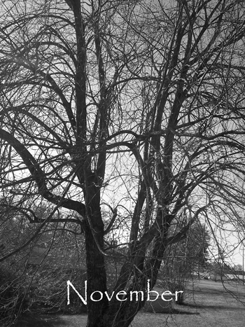 Photography by mindy3051 for DesignCrowd (Community Contests) | Design #8957463