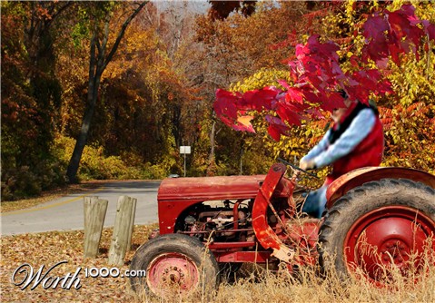 Photoshop Design by janefrog