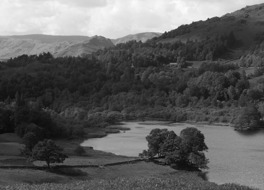 Photographie par Rvannith pour DesignCrowd (Community Contests) | Design #8954813