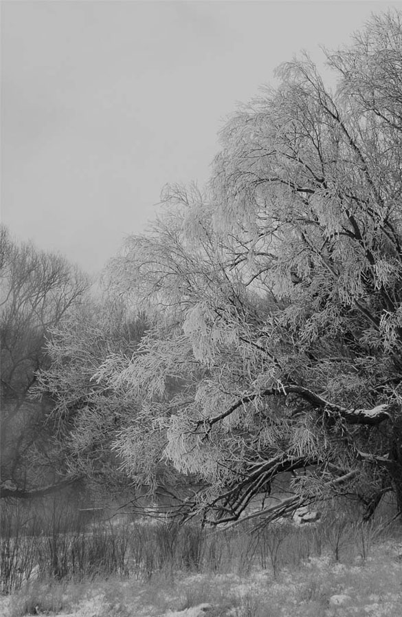 Photography by tjmhart for DesignCrowd (Community Contests) | Design #8954846
