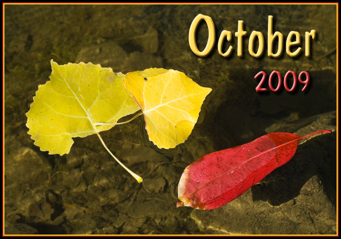 Photography by ClickChick for DesignCrowd (Community Contests) | Design #8957419