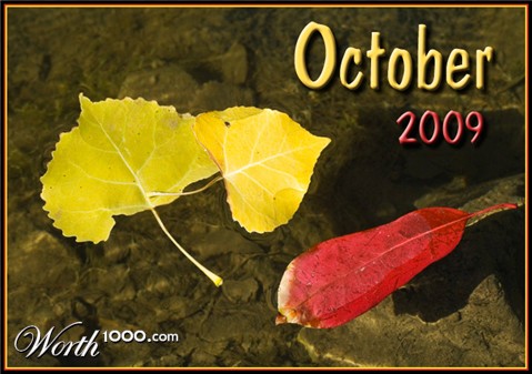 Photography by ClickChick