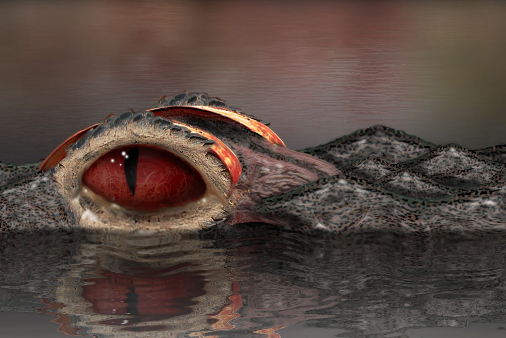 Photoshop Design by Webfreak for DesignCrowd (Community Contests) | Design #8958291