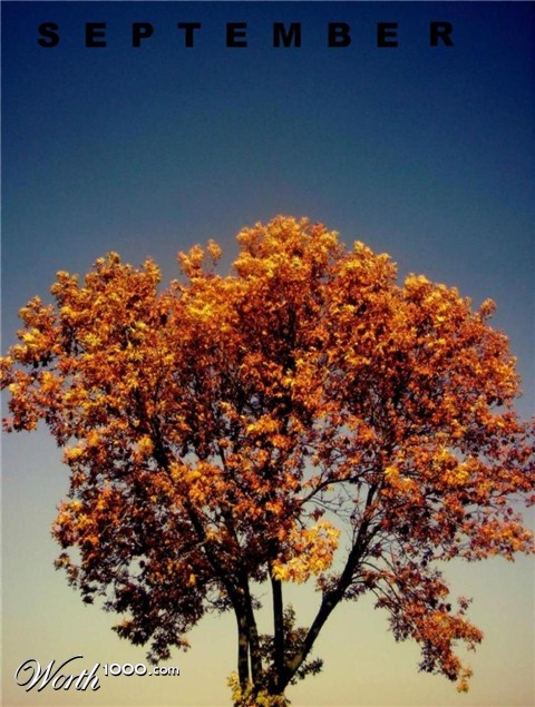 Photography by blackeyedgirl