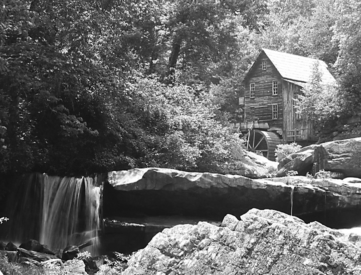 Photography by petsitter for DesignCrowd (Community Contests) | Design #8954776