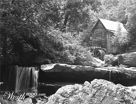 Photography by petsitter