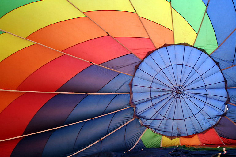 Photography by petsitter for DesignCrowd (Community Contests) | Design #8959992