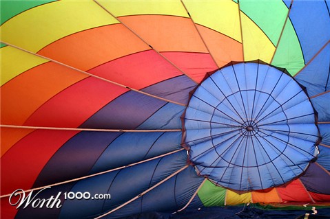 Photography by petsitter