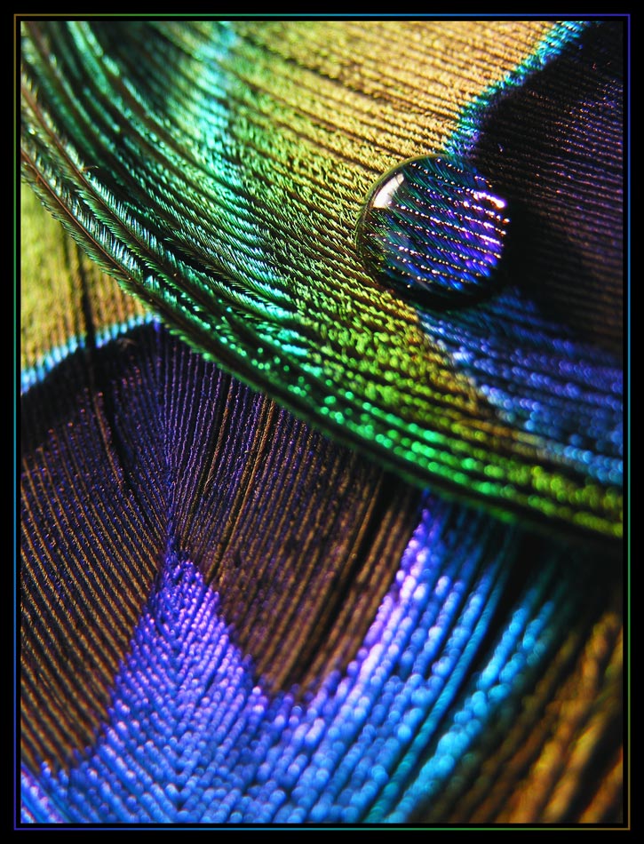 Photography by fujiellena for DesignCrowd (Community Contests) | Design #8957178