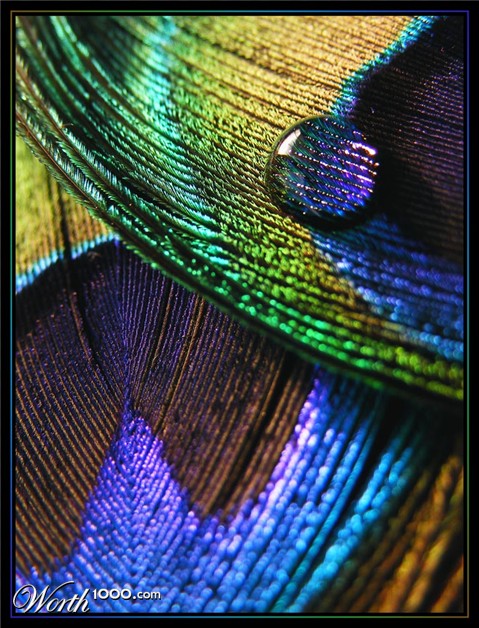 Photography by fujiellena