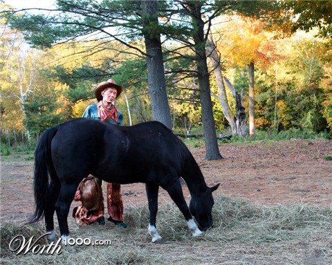 Photoshop Design by suss51luss