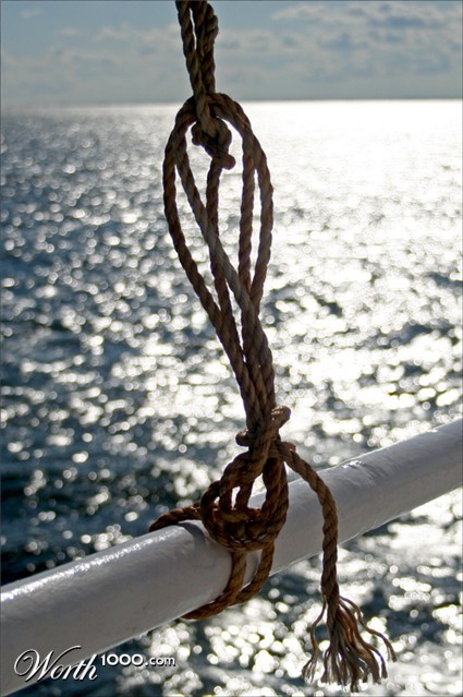 Photography by charizz