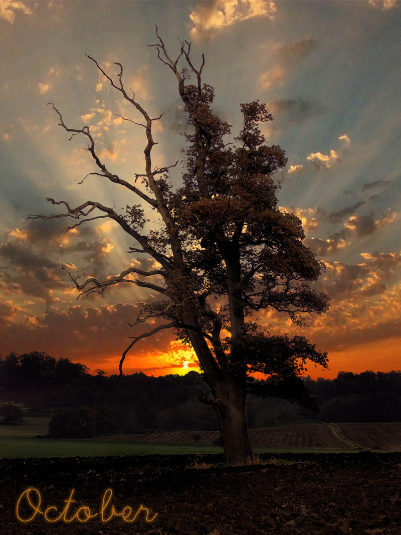 Photography by ScThom for DesignCrowd (Community Contests) | Design #8957405