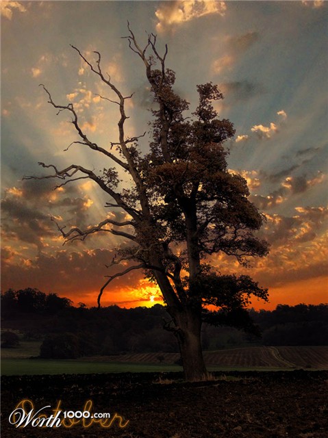 Photography by ScThom