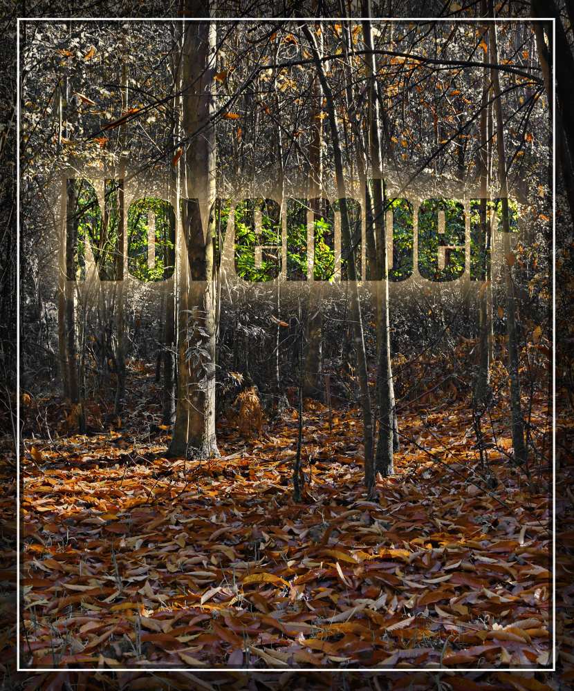 Fotografie von darynman für DesignCrowd (Community Contests) | Design #8957470