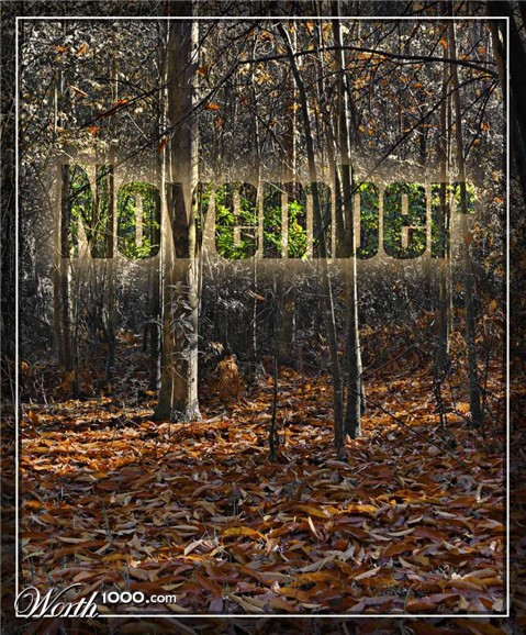 Photography by darynman