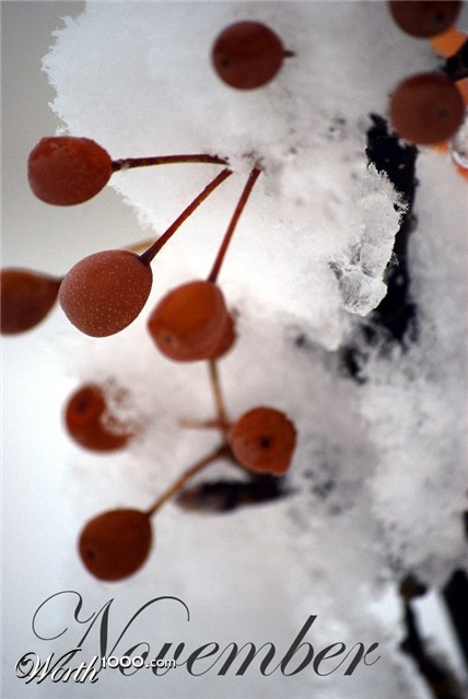 Photography by Findlay18