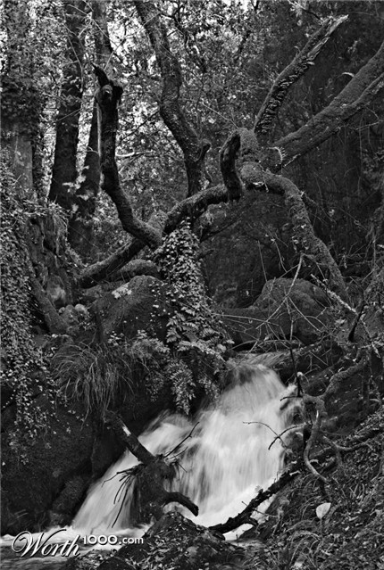 Photography by darynman