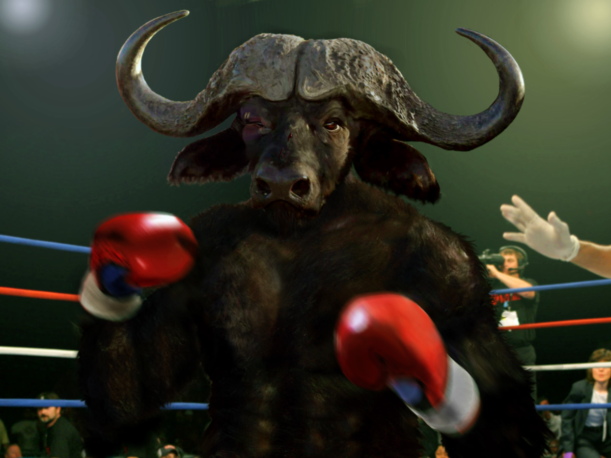 Photoshop Design by Ringozo for DesignCrowd (Community Contests) | Design #8957842