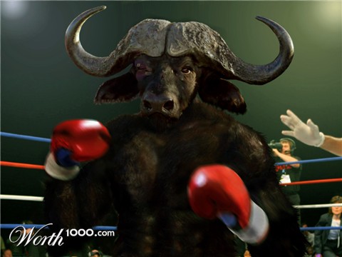 Photoshop Design by Ringozo